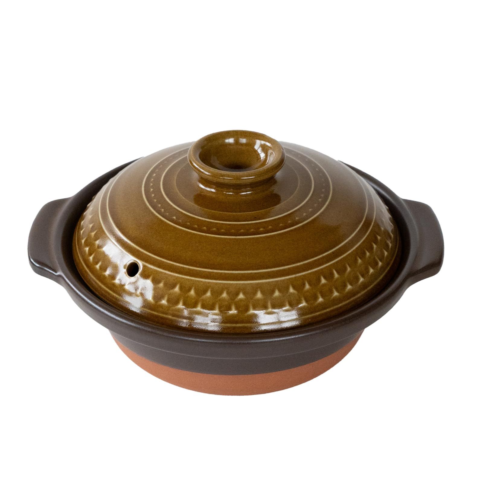 中型盆栽 曲がった幹 ブーゲンビィリア