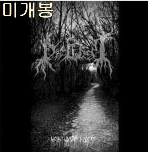 FUKUTO』フクト ゆり座 座椅子 ローチェア チェア 椅子 RWso87