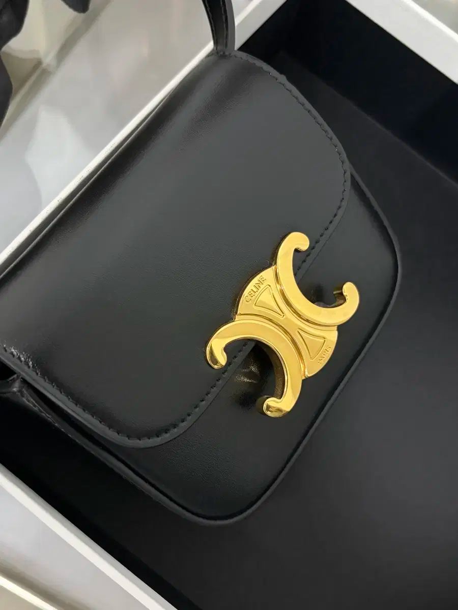 Celine セリーヌ クロード シャイニー カーフスキン ミニバック