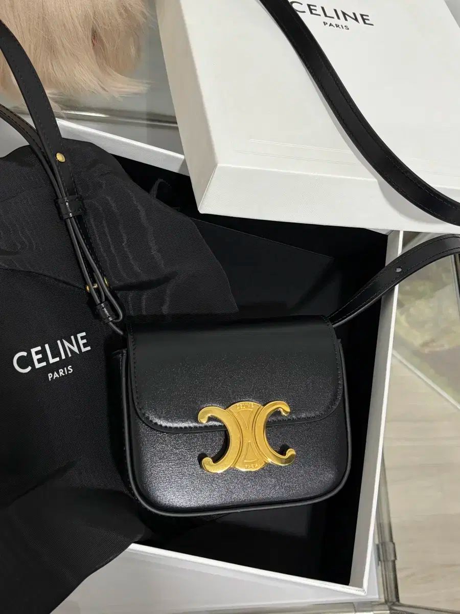 Celine セリーヌ クロード シャイニー カーフスキン ミニバック