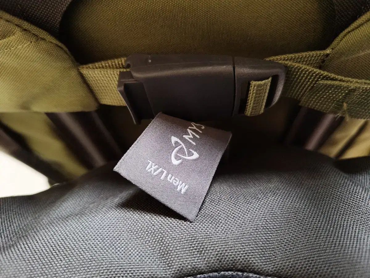 テラフレンチテリー