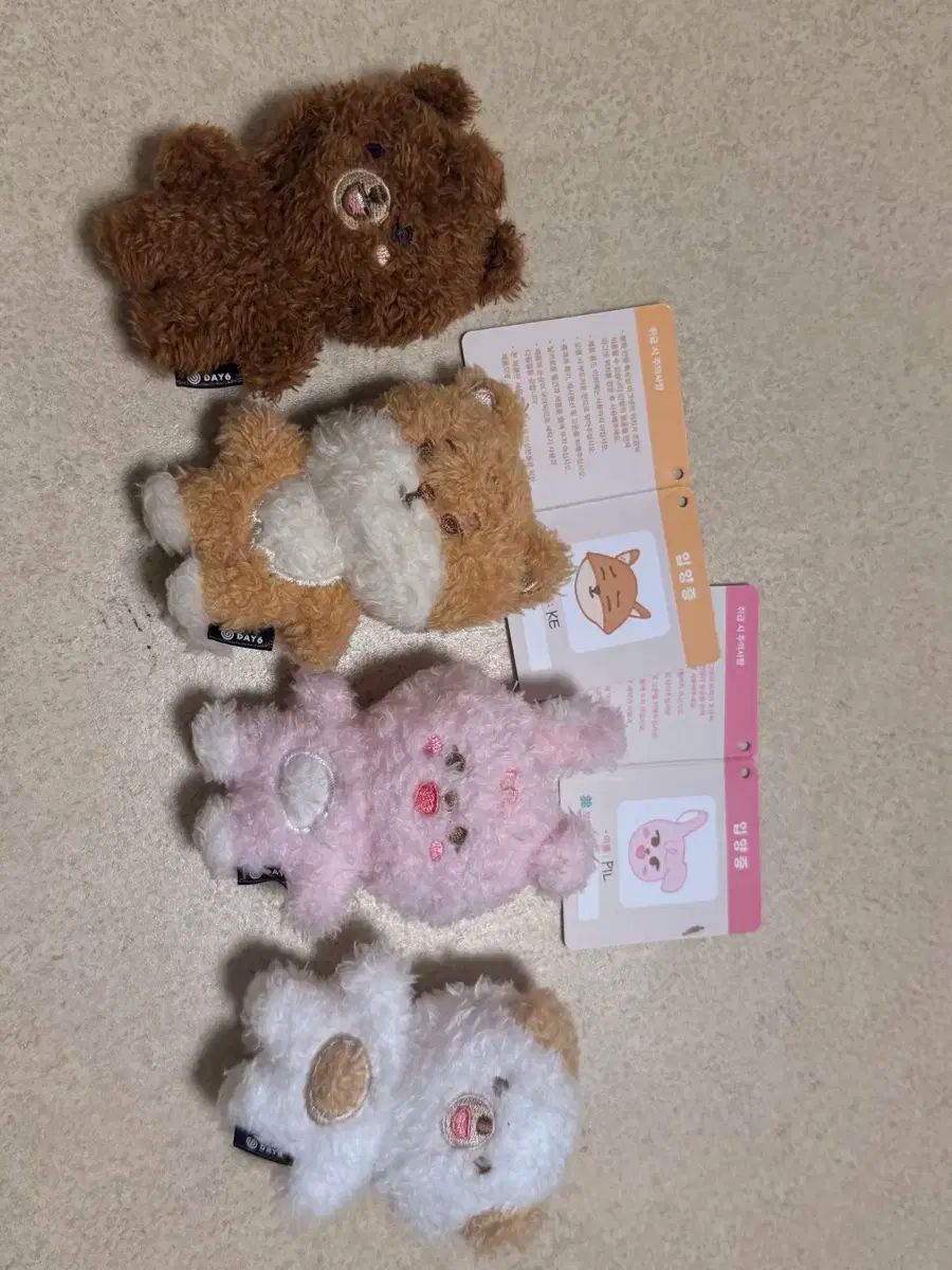 DAY6 MYDAY マグネット まるず まとめ