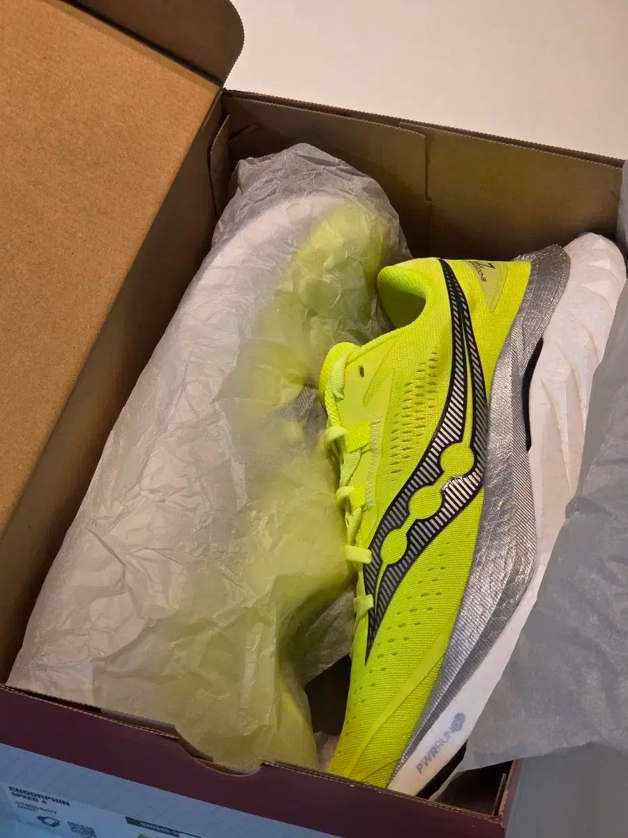 サッカニー エンドルフィン