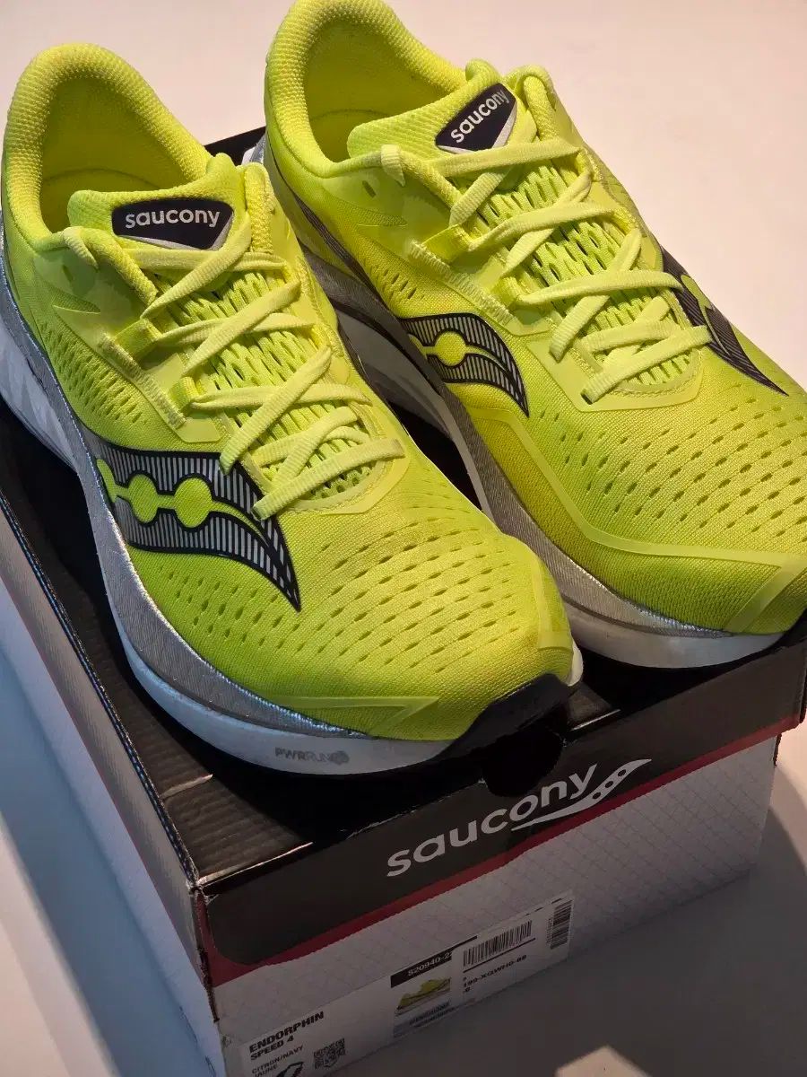 エンドルフィン スピード