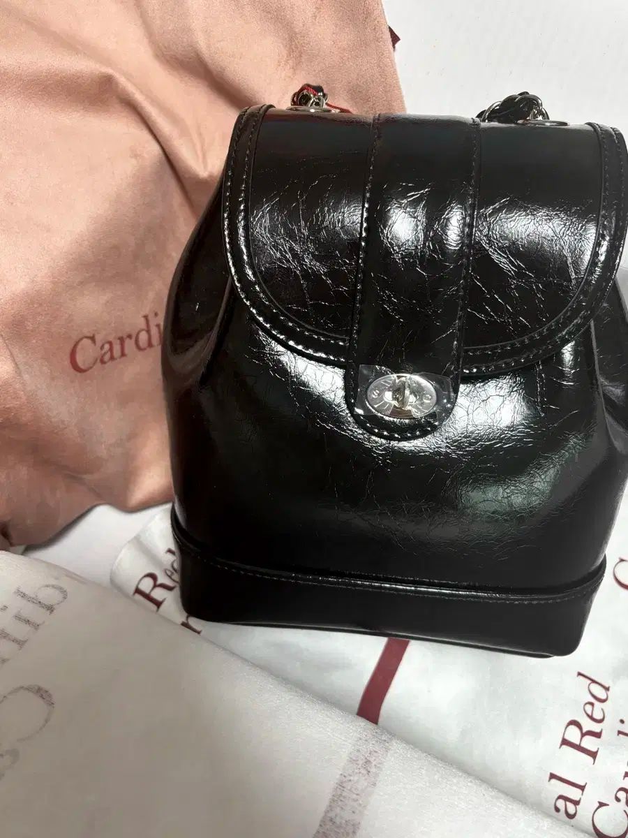 Cardinal Red 下 ウア バッグ ブラック シルバー