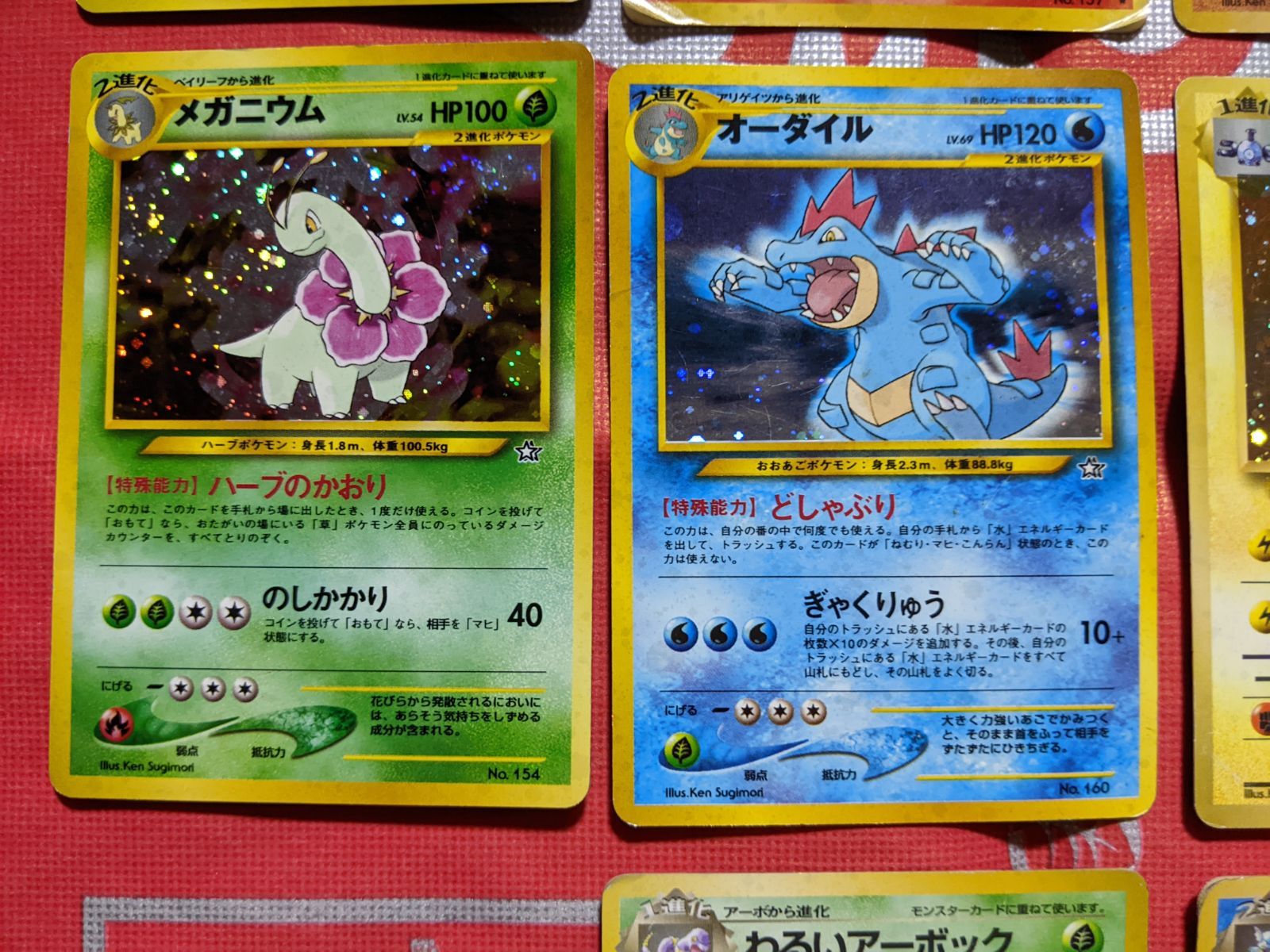 纏め ポケモンカード meiji バクフーン vs オーダイル バトル08　希少 纏め ポケモンカード meiji バクフーン vs オーダイル バトル08 希少