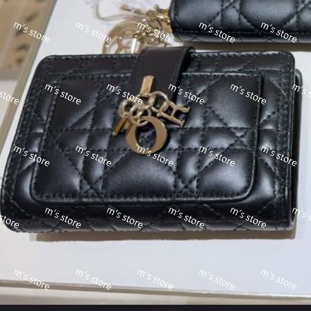 Christian Dior ディオール My Dior Dittany ウォレット 財布 ブラック