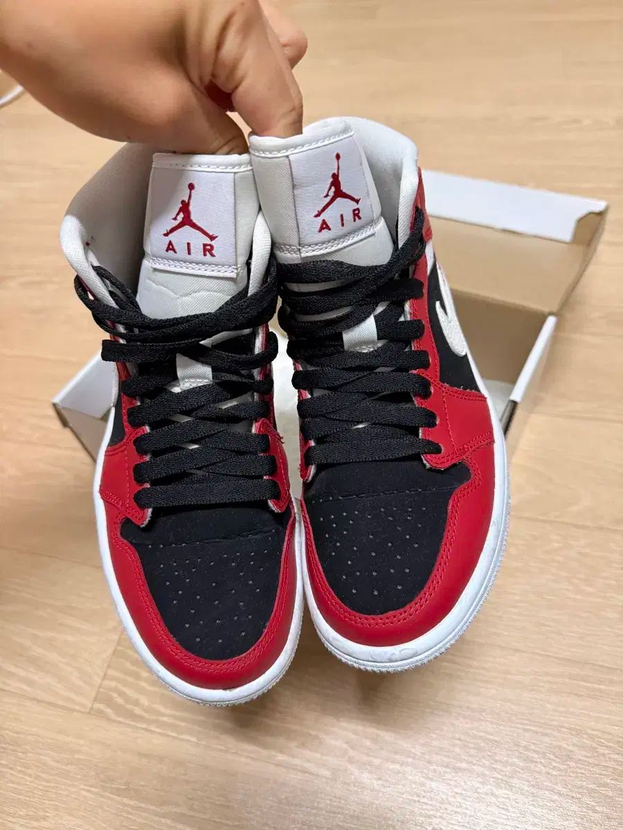 ジムレッド ブラック