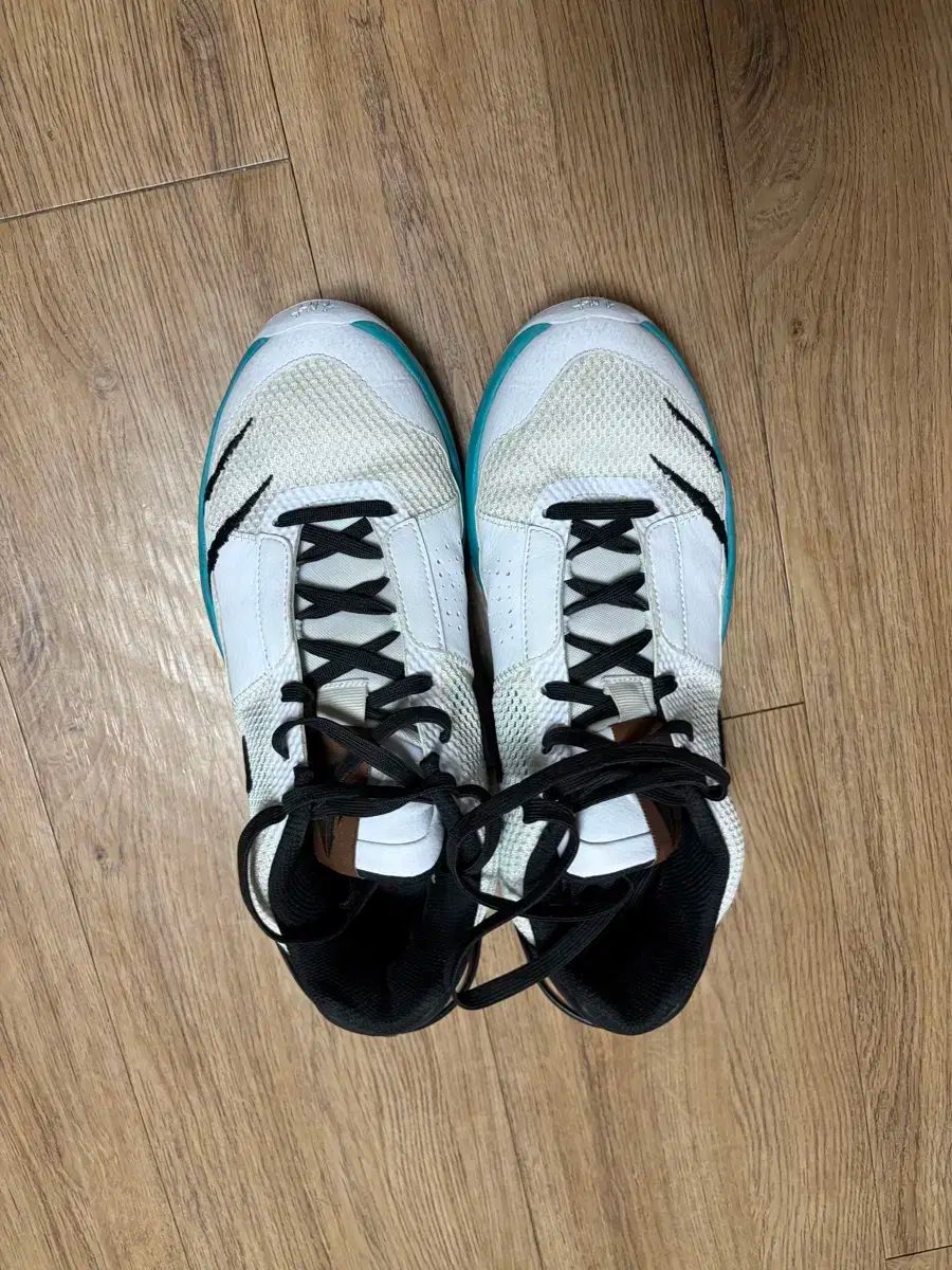 ナイキ バスケシューズ Ja1 270