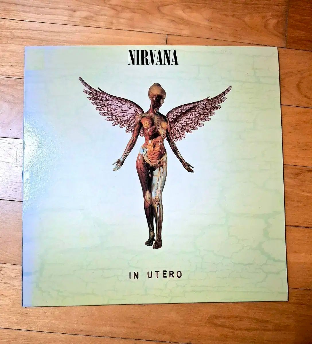 ニルヴァーナ Nirvana In Utero LP 韓国語版