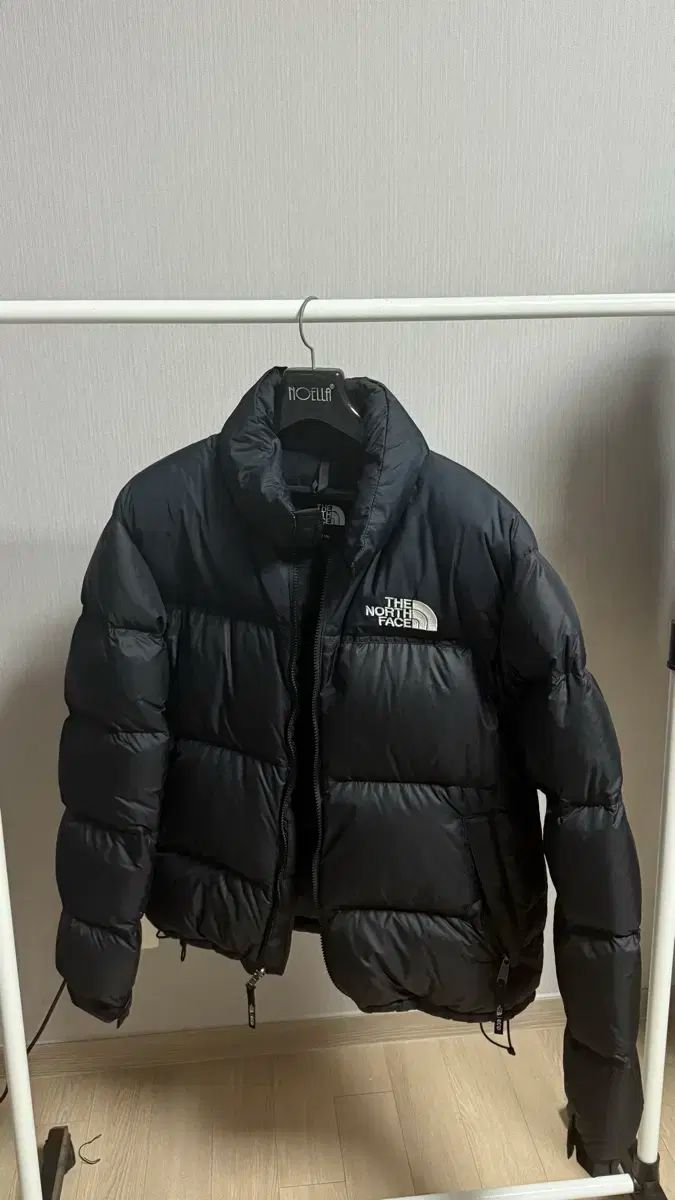 THE NORTH FACE 1996 エコー Nuptse ヌプシ ダウン L サイズ