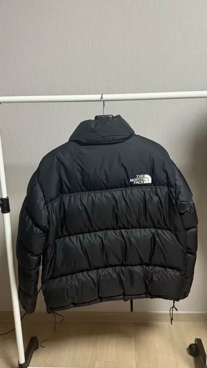 THE NORTH FACE 1996 エコー Nuptse ヌプシ ダウン L サイズ