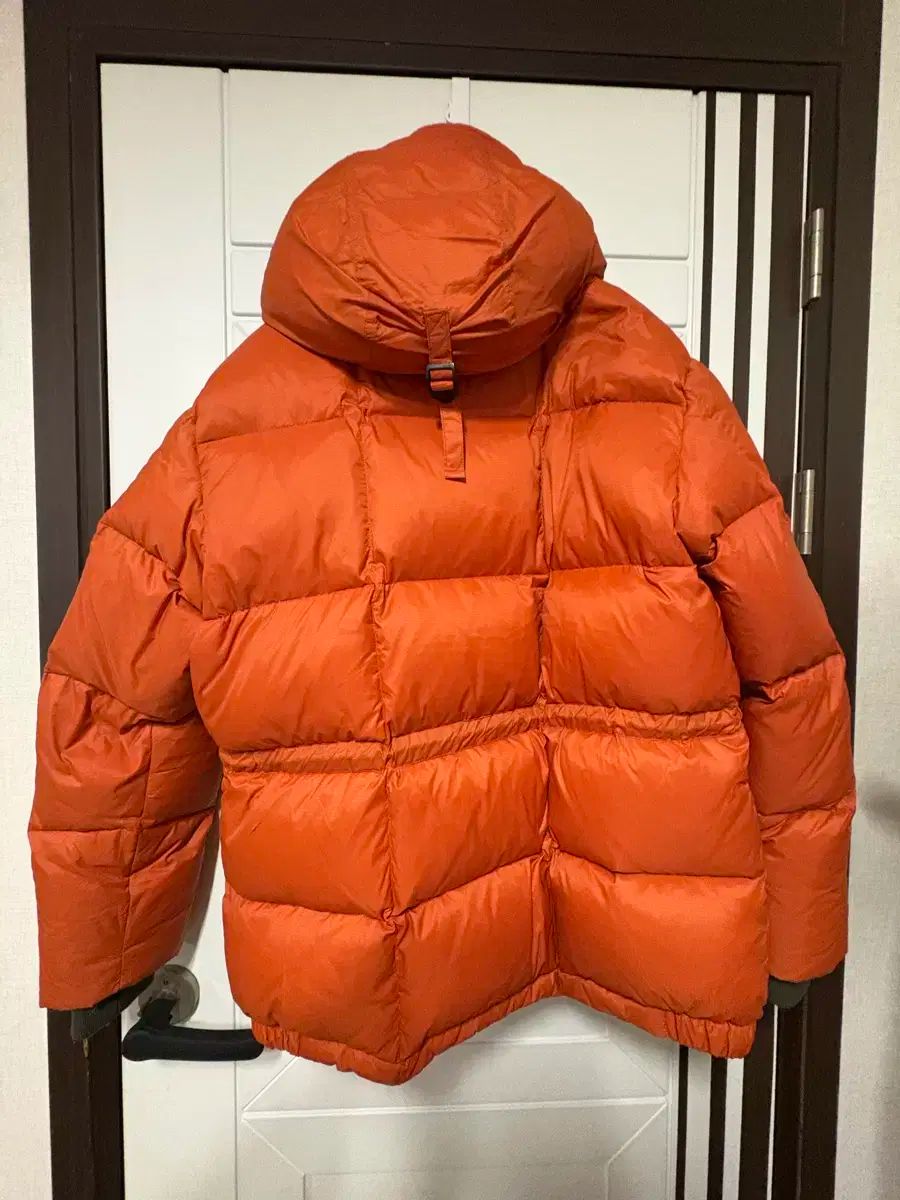 アウトスタンディング KARA カラ コラム オレンジ 2