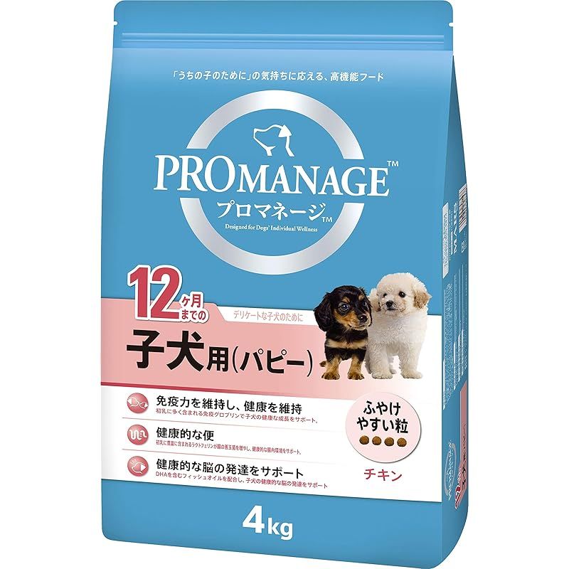 パンスト フェスイベント 缶バッジくじ ストッキング賞 BIGアクリル