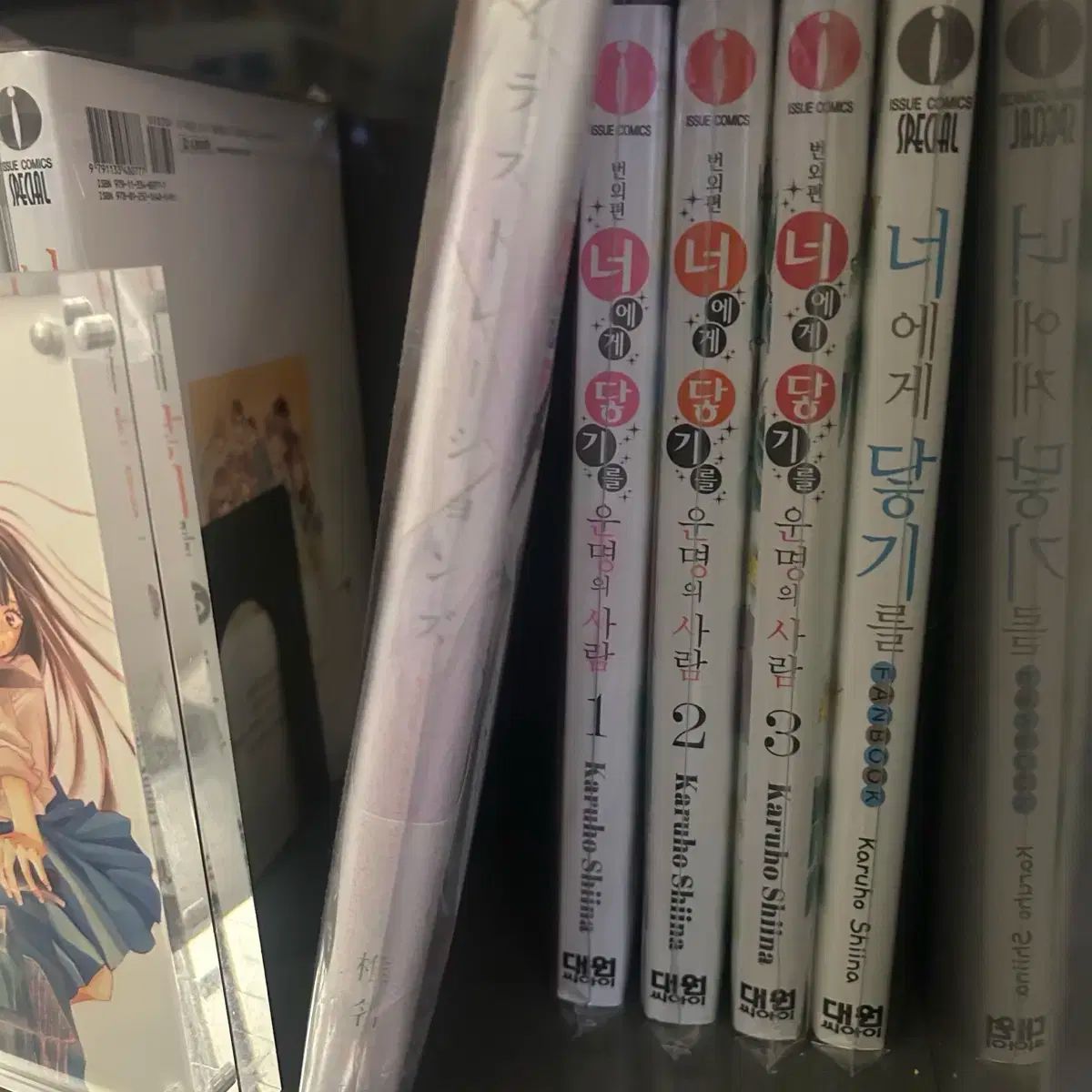 含む 君に届け 漫画1-30巻 完 運命の人 1-3 FAN BOOK 全巻