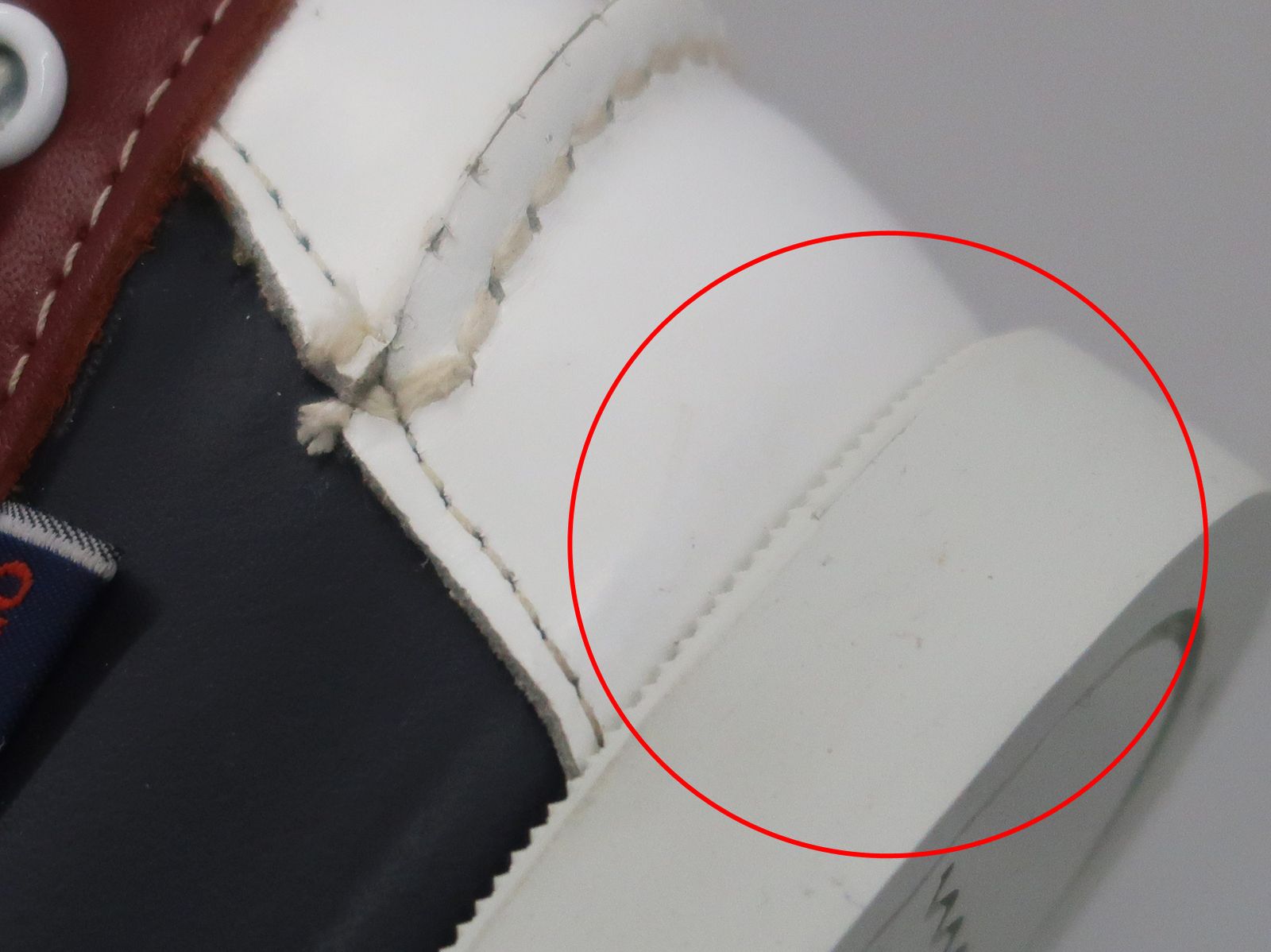 スピンネーカー