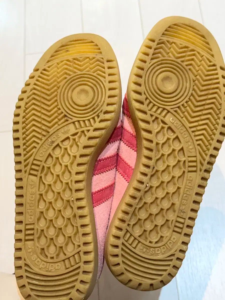 バミューダ ピンク