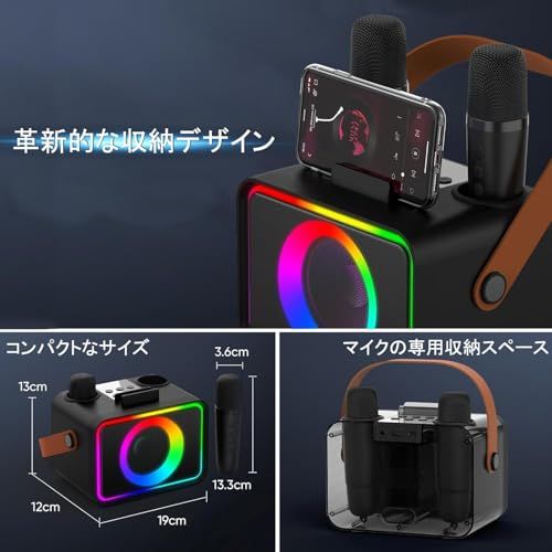 家庭用カラオケセット 新品】スピーカーセット カラオケ マイク 2本 Bluetooth5.3 カラオケ