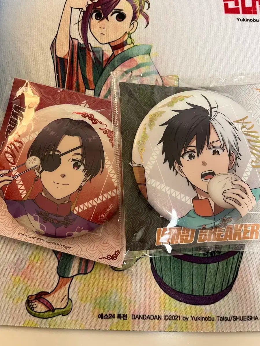 WINDBREAKER HICUL 桜遥 箔押し 缶バッジ 6点セット 2025年最新