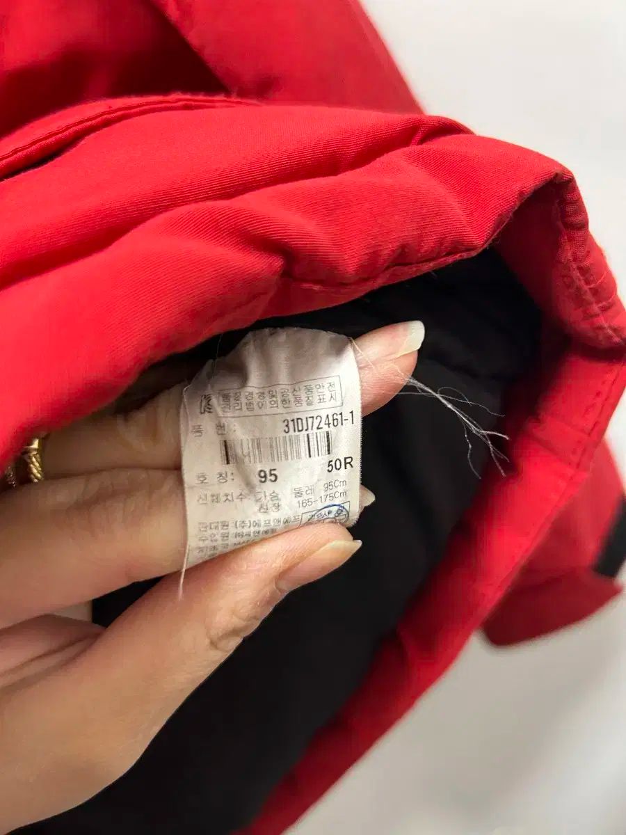 野球チーム レッド