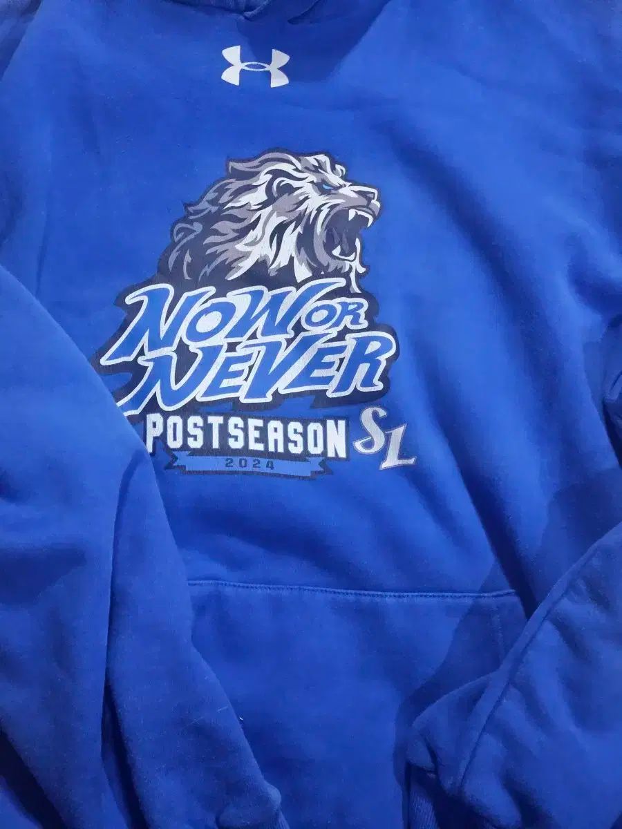 サムスン ライオンズ アンダーアーマー ポシフード 120