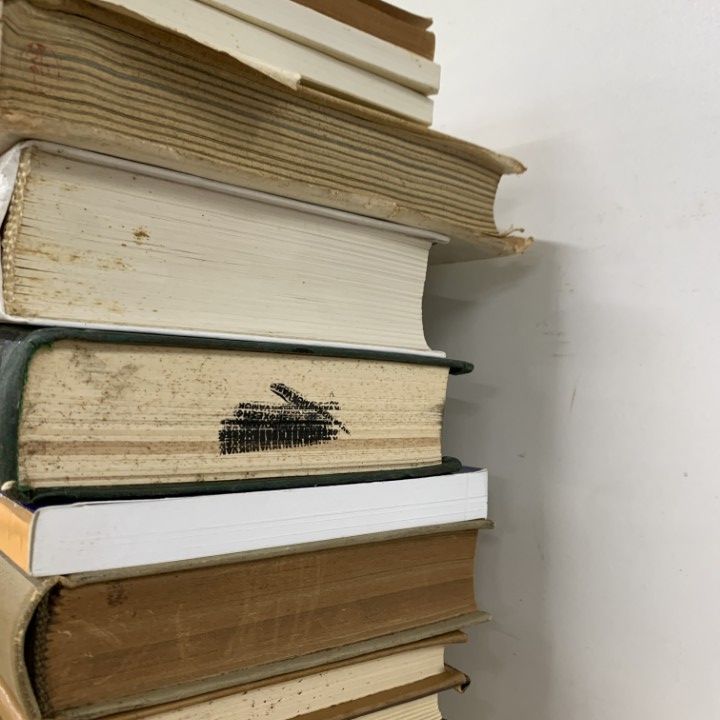 □02)【1点限り!】ロシア文学・歴史・言語などのロシア語洋書/まとめ  