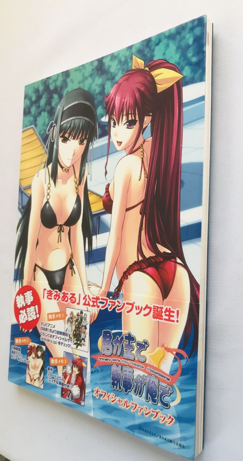 君が主で執事が俺で オフィシャルファンブック 帯 ポスター 初版 Kimi ga Aruji de Shitsuji Ore They Are My Noble Masters Fan Book Art w Obi Poster