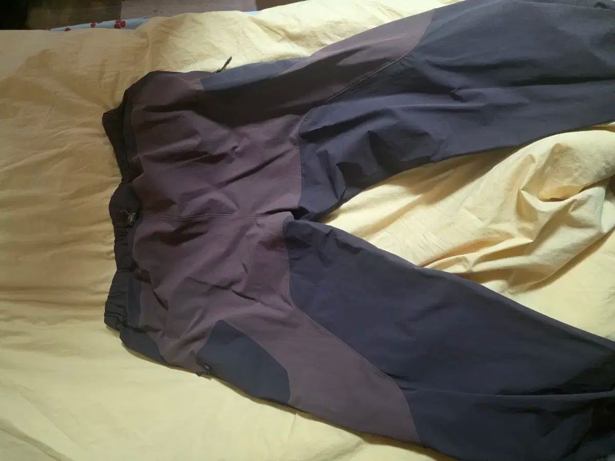 アークテリクス SYSTEMa アークス パンツ XL