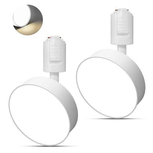 ダクトレールライト フィルライト消費電力12 W LED搭載 大光量1100 lm アメリカ BridgeLux LEDチップ 演色性Ra 96.5 器具一体型 電球不要 取付簡単 白い 昼白色 入り