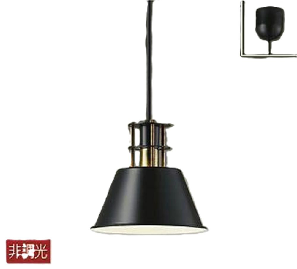 LEDペンダントライト 3500 K 非調光 フランジランプ付 DPN-40481 Y
