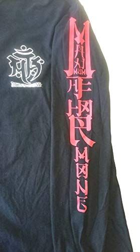 よく好んで着ていた風ロンT