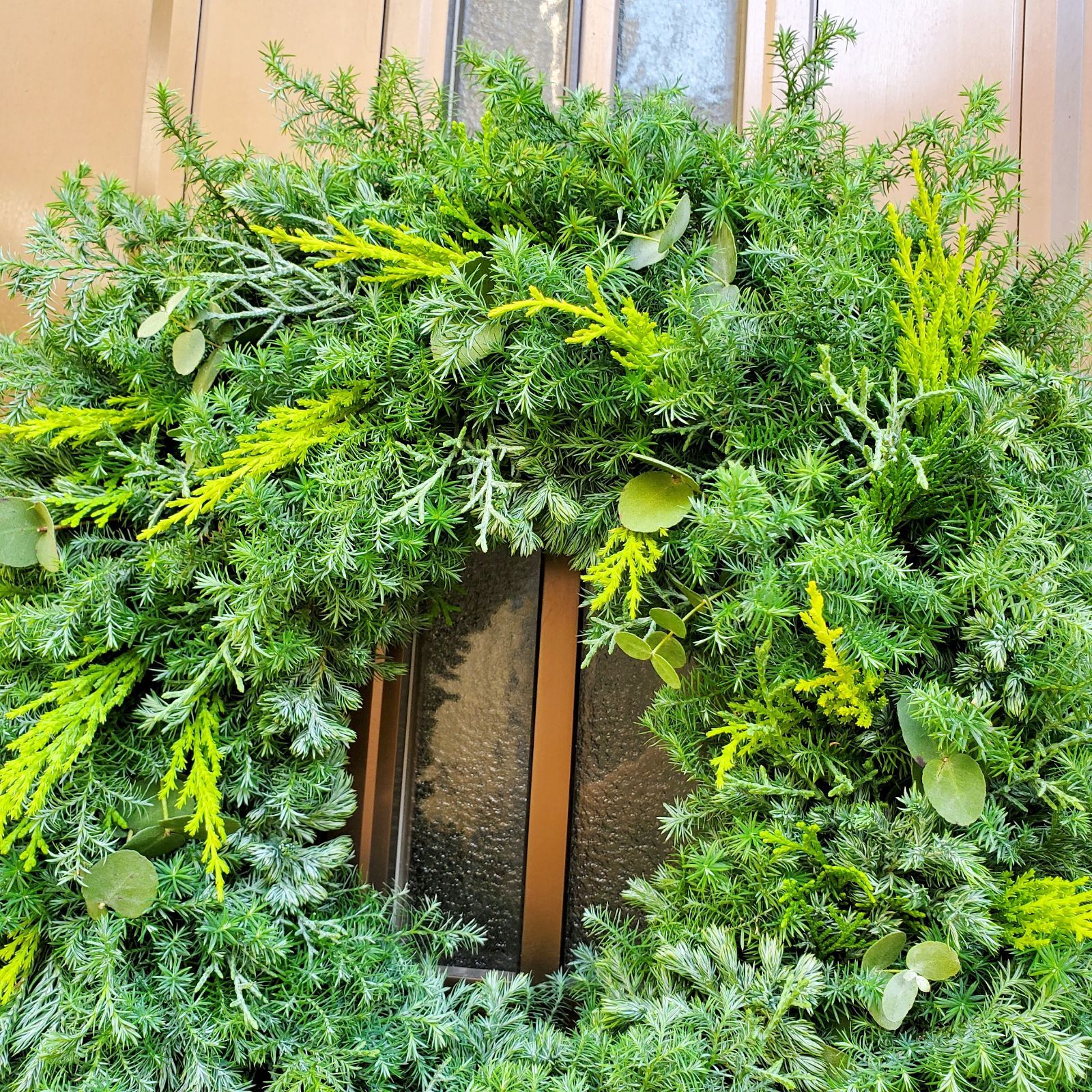 ふわふわ6種類のコニファーリース ヒムロスギ ブルーアイス ユーカリ