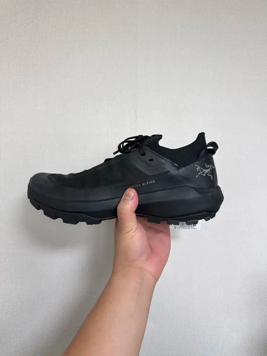ARC TERYX アークテリクス アルパイン ブラック
