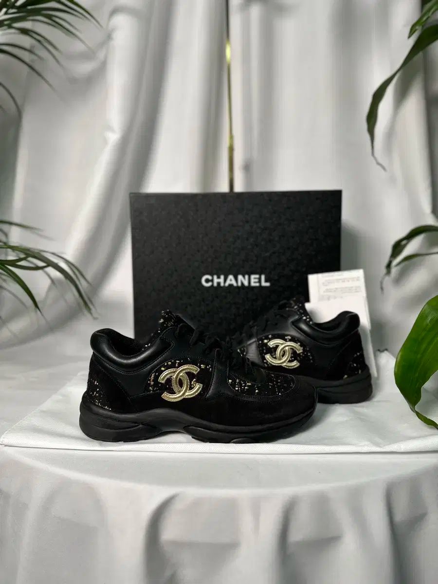 クルーズ スニーカー