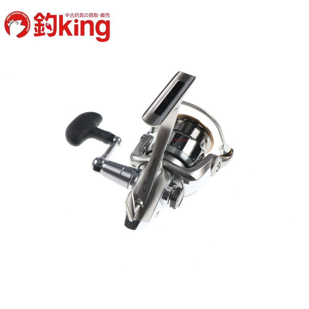 アオリイカ エギング