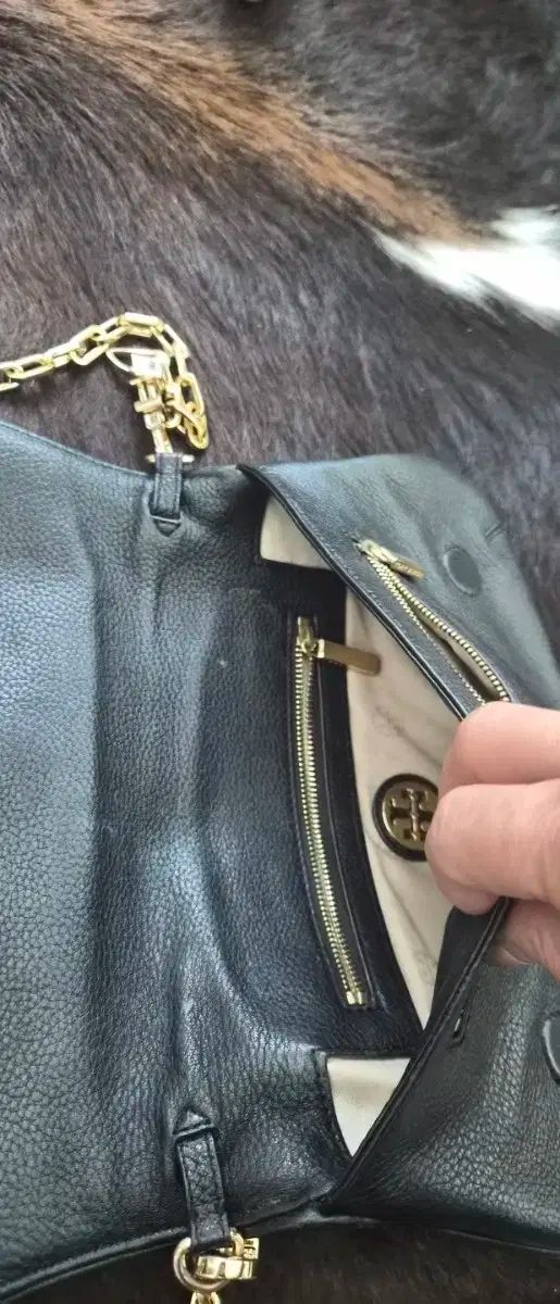 チェーン クロスバック