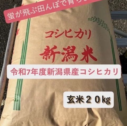 令和7年 新潟県県産コシヒカリ玄米20kg 【公式通販】
