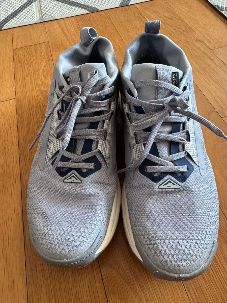 ナイキ ペガサス トレイル GORE-TEX 260