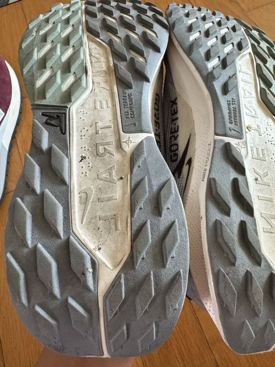 ナイキ ペガサス トレイル GORE TEX 260 登山靴 トレッキングシューズ アウトドアシューズ アウトドア