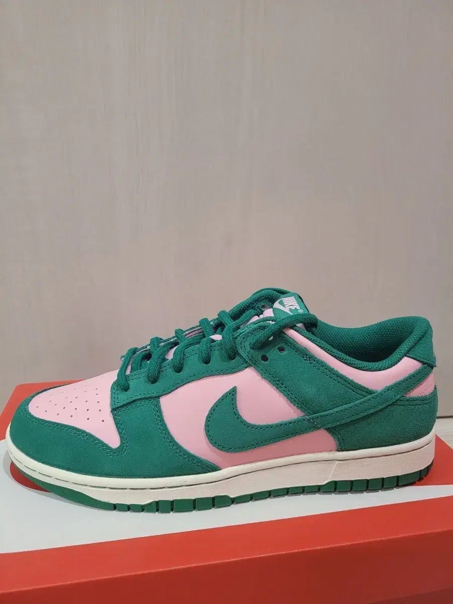 ナイキ ダンクロー レトロ 280mm