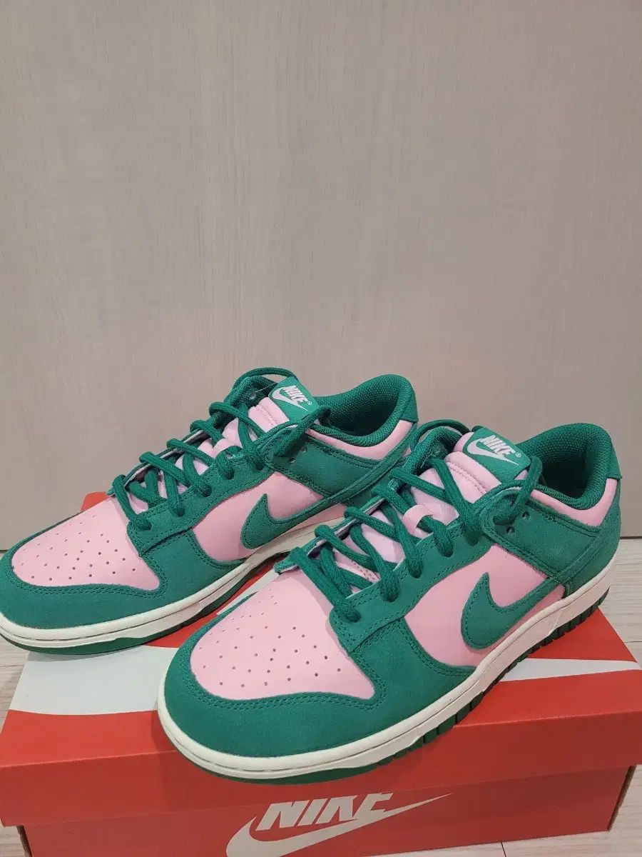 ナイキ ダンクロー レトロ 280 mm