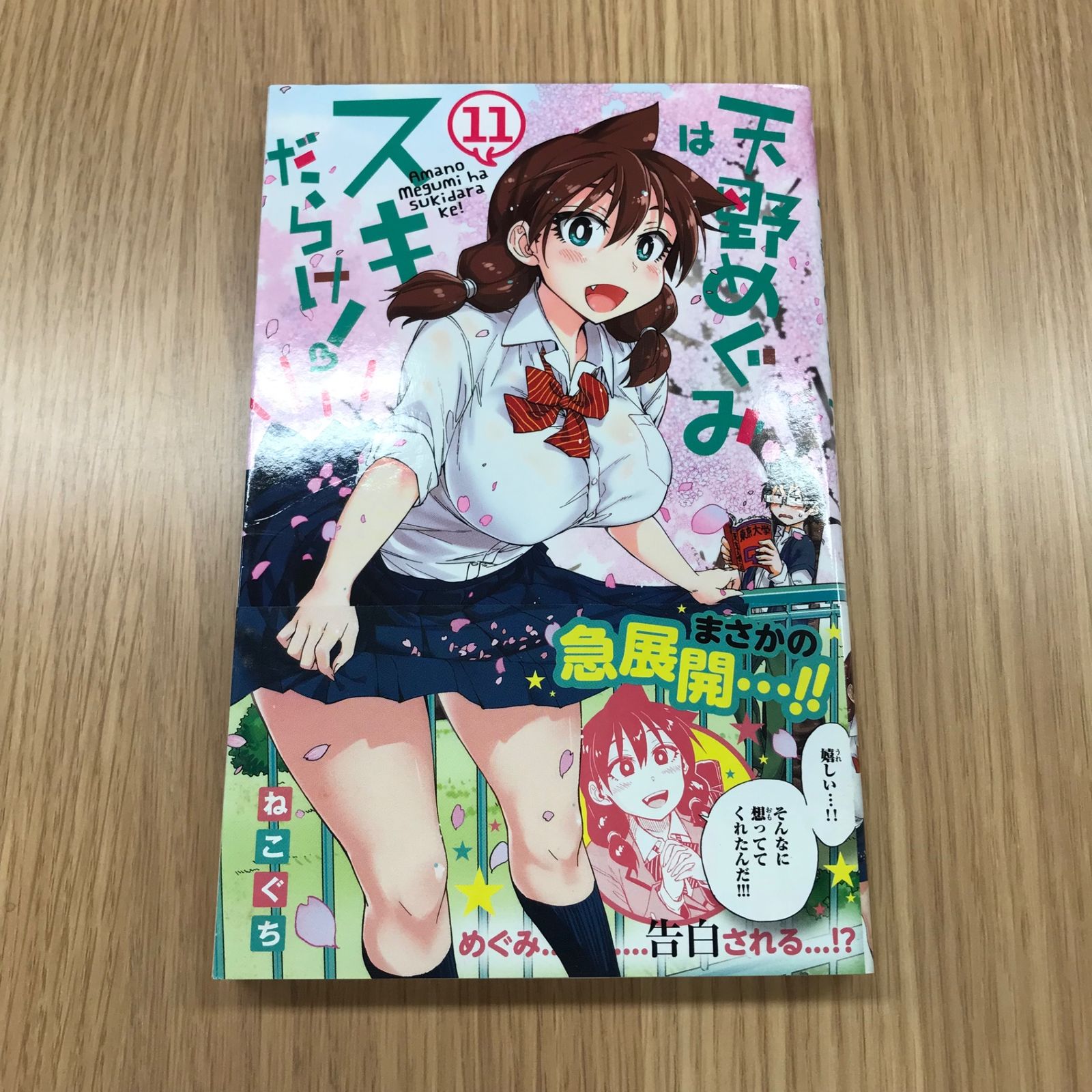 ☆特典41点付き [ねこぐち] 天野めぐみはスキだらけ 1-14巻セット 天野めぐみはスキだらけ！ （14） - ねこぐち - 少年マンガ - DMMブックス