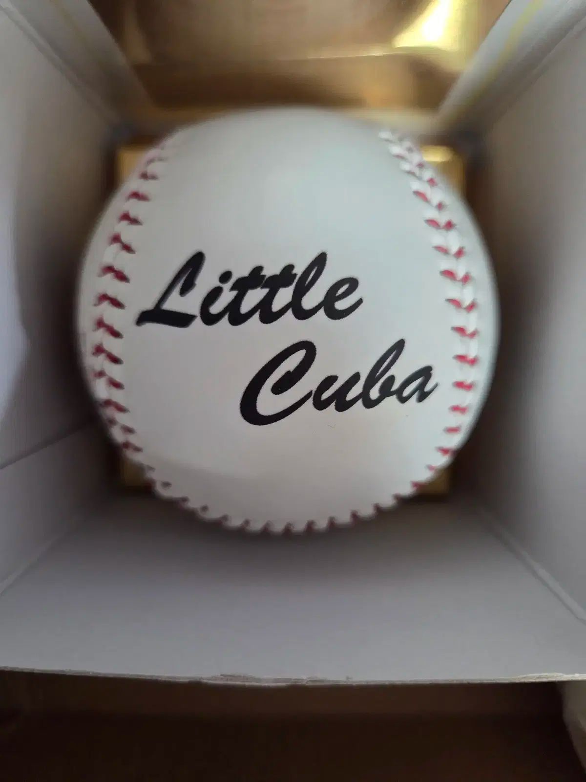 SKワイバーンズ