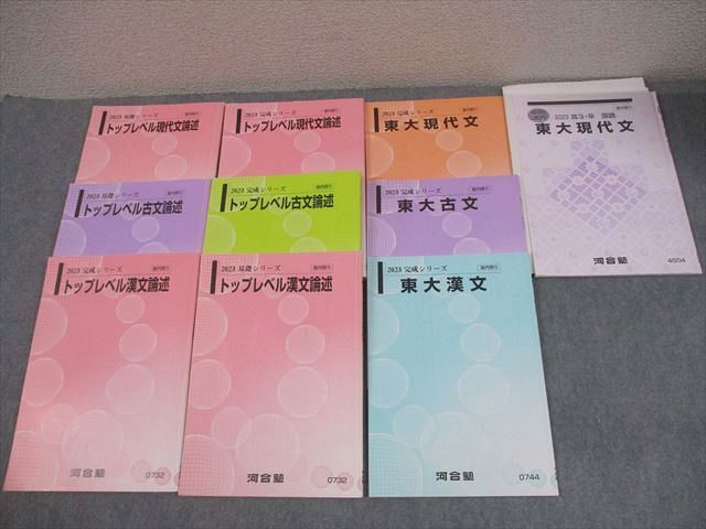 河合塾　トップレベル古文・漢文 河合塾 東京大学 トップレベル東大コース 国語 現代文/漢文/古文