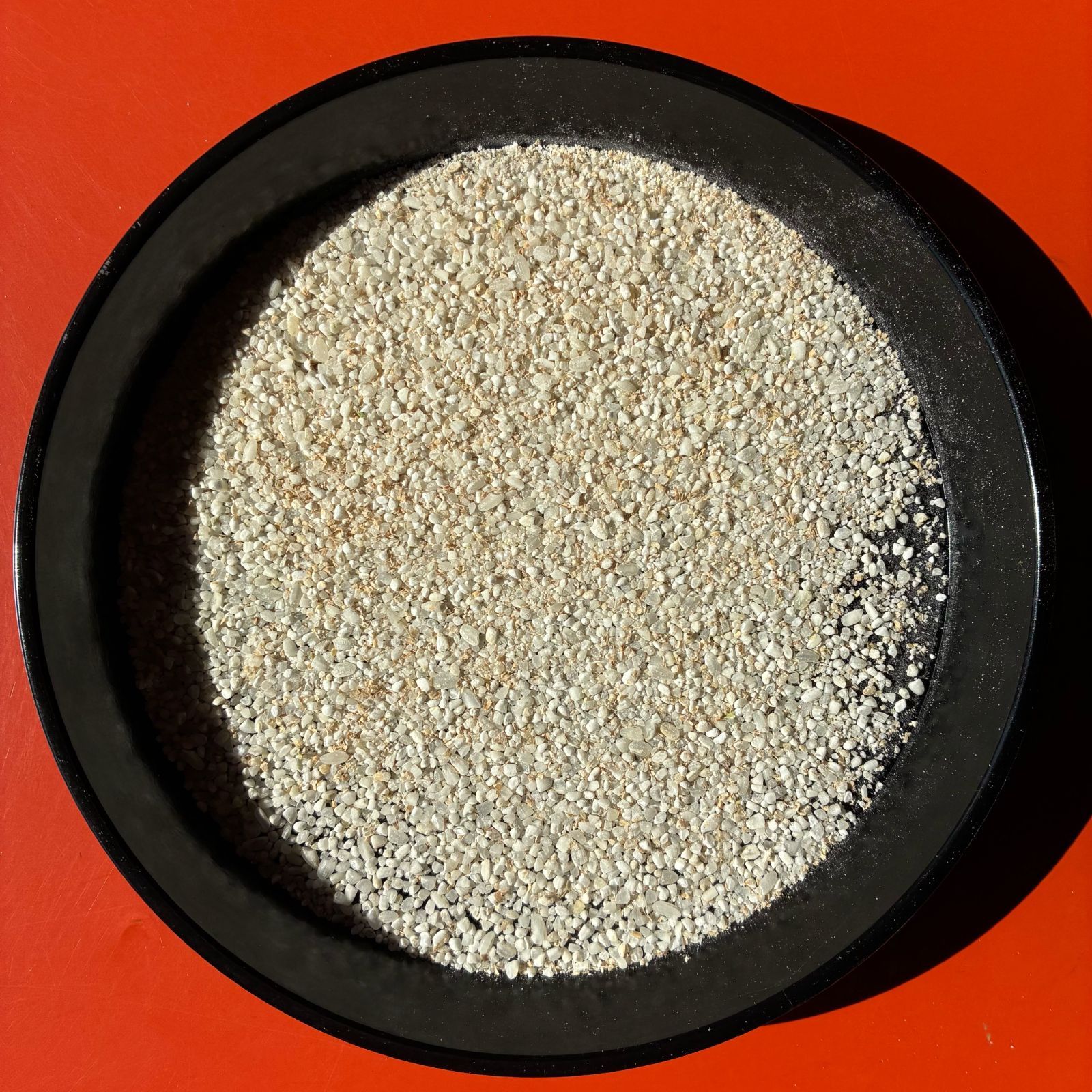 20kg 小米 鳥の餌 砕米 色彩選別機で飛ばしたお米等です - メルカリ