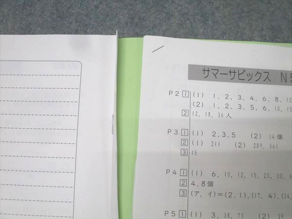 SAPIX 小学5年 算数 デイリー/サマーサピックス/サポート 計102回分