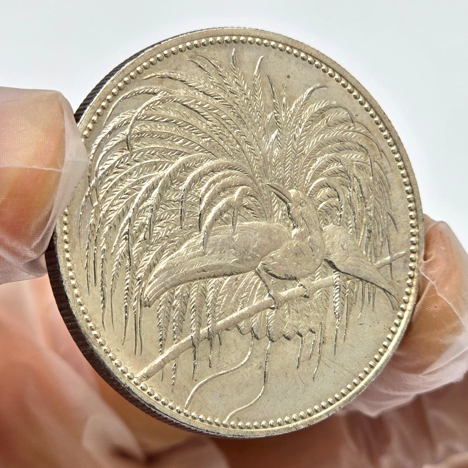 ドイツ領ニューギニア 1894 5マルク 大型銀貨 極楽鳥 銀品位900 直径38