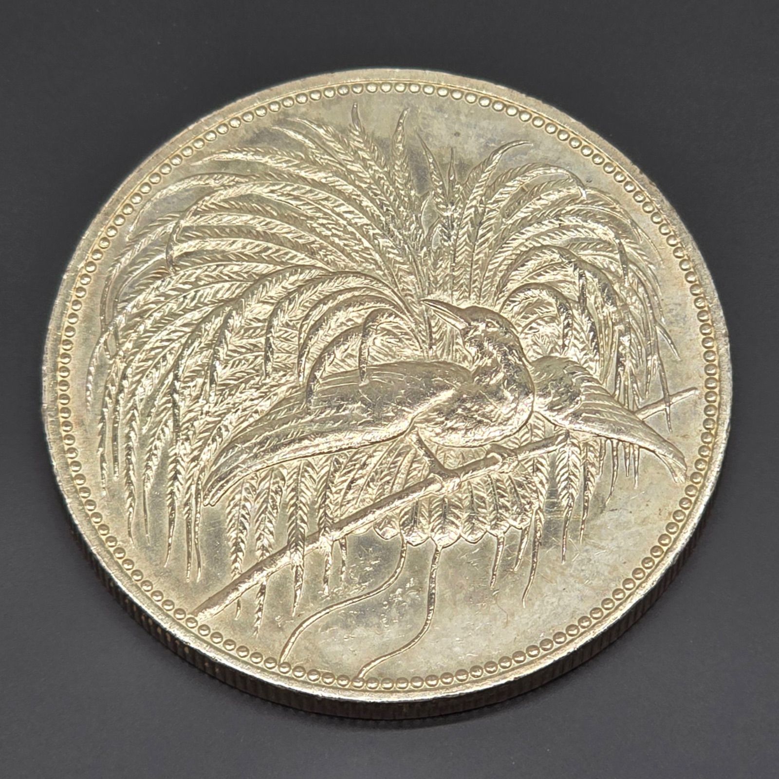 ドイツ領ニューギニア 1894 5マルク 大型銀貨 極楽鳥 銀品位900 直径38