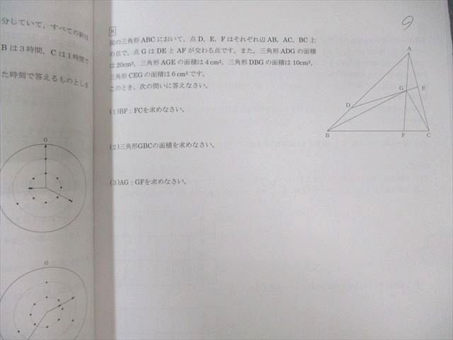 日能研 国語 中学受験用 2024年度版 日特問題集 小6 オトクサの SS