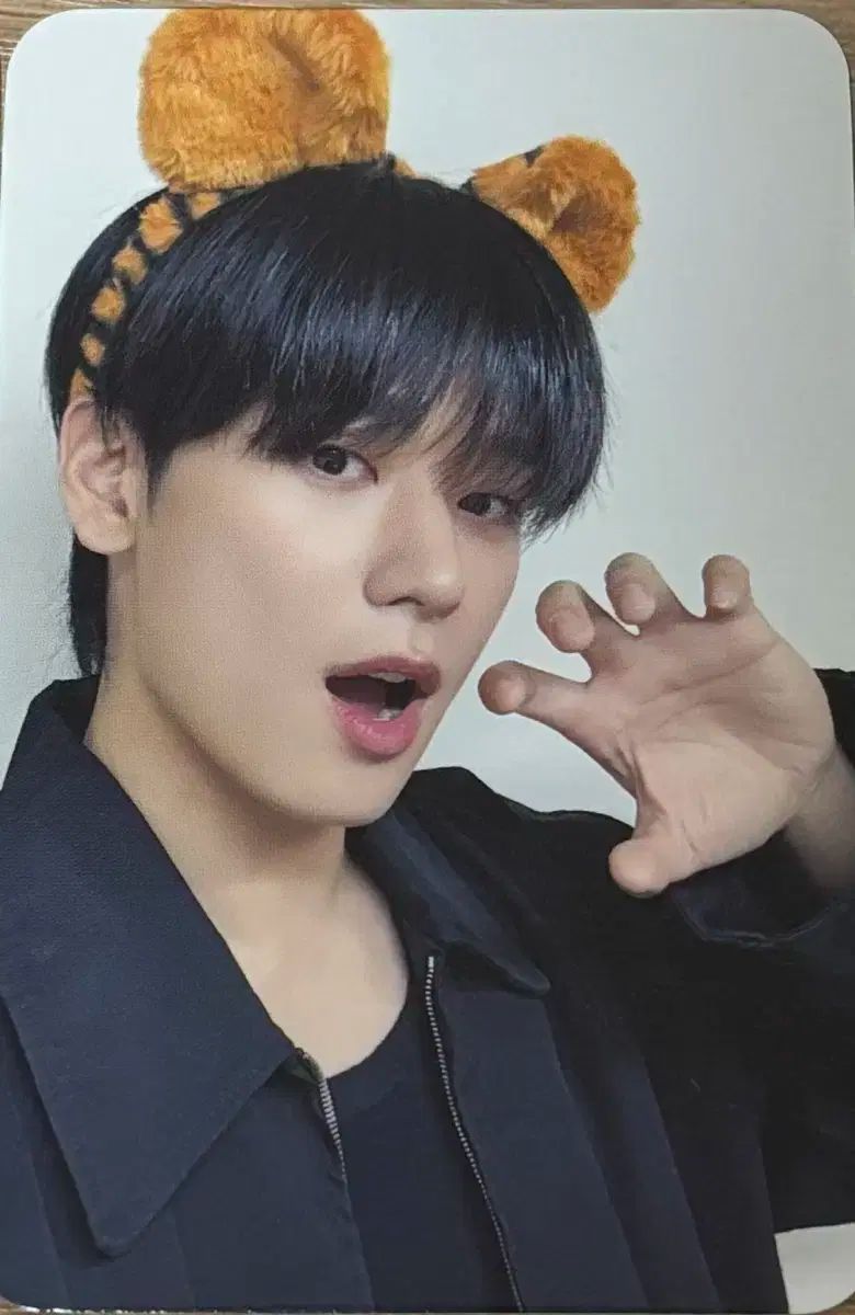 THE BOYZ(ザ・ボーイズ・ドボイズ) タイガー 公開放送 サノク トレカ